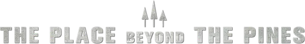 The Place Beyond the Pines