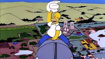 Homer the Vigilante