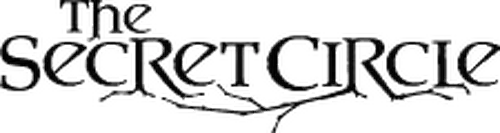 После трагической гибели матери, старшеклассница Кэсси Блейк переезжает к своей бабушке в маленький городок Ченс-Харбор. Очень скоро выясняется, что возвращение Кэсси в город, где родилась и выросла её мать, не было случайностью - оказывается, Кэсси потомственная ведьма, и юному ведьмовскому клану как раз не хватало шестого участника, чтобы обрести полную силу. Но почему мать никогда не рассказывала Кэсси о своих и её способностях? Какая трагедия 16 лет назад лишила каждого участника Тайного Круга одного из родителей? И что замышляют те представители старшего поколения ведьм, что остались в живых? У Тайного Круга очень много тайн....