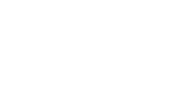 «Лиззи Магуайер» (англ. Lizzie McGuire) — подростковый сериал, рассказывающий о жизни обычной американской школьницы Лиззи, роль которой исполнила Хилари Дафф. Сериал транслировался на канале Дисней с 2001 по 2004 год. Создателем шоу стала Терри Мински.

Съемки сериала прекратились в 2002 году после 65 серий, и несмотря на высокие рейтинги, сериал был закрыт, что стало неожиданностью для всей съемочной бригады и актёрского состава.

В 2003 году на широкие экраны вышла полнометражная лента «Лиззи Магуайер» и имела большой успех. Студия «Walt Disney» предложила Хилари Дафф сняться в продолжении сериала, в котором Лиззи должна была учиться в старших классах, однако этому не было суждено сбыться из-за финансовых разногласий студии и агентов Хилари.