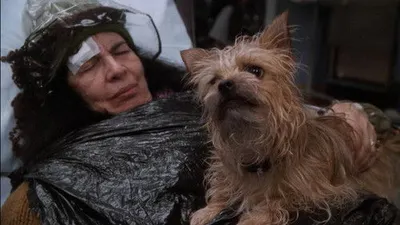 A Shift in the Night