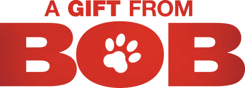 До встречи с котом Бобом Джеймс не любил Рождество, но рыжий пушистый хулиган всё изменил. Он в буквальном смысле подарил своему хозяину новую жизнь, сотворив настоящее рождественское чудо. Ведь даже если у тебя пусто в кармане, а во всём городе отключили свет, праздник должен состояться!