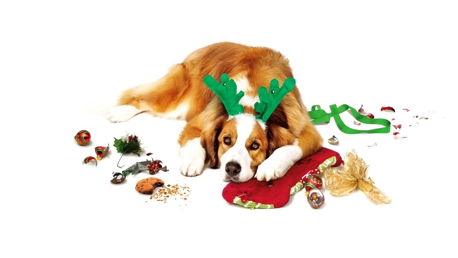 Любите Куперов