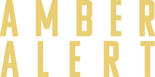 Обычная поездка превращается в опасную погоню. Оповещение о похищении ребёнка, пришедшее на телефоны героев, всё изменит, когда они обнаружат, что едут за машиной, которая соответствует описанию похитителя. Решив не дать предполагаемому преступнику скрыться, герои начинают преследование, которое подвергает риску их собственные жизни.