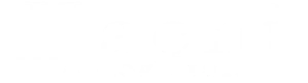 В основе сюжета — реальная история, случившаяся в Японии в 20-х годах и потрясшая весь мир. Однажды, возвращаясь с работы, профессор колледжа нашел на вокзале симпатичного щенка породы акита-ину. Профессор и Хатико стали верными друзьями. Каждый день пес провожал и встречал профессора на вокзале. И даже потеря хозяина не остановила пса в его надежде, что друг вернется. После смерти Хатико и в силу широкого резонанса, который получила эта история, на станции Шибуя в Токио, на том месте, где он в течение 9 лет каждый день в 5 часов вечера приходил и ждал хозяина, было решено воздвигнуть бронзовый памятник в 1934г. в его честь. Сегодня памятник Хатико это – дань уважения преданности и верности, которой характеризуется эта порода.