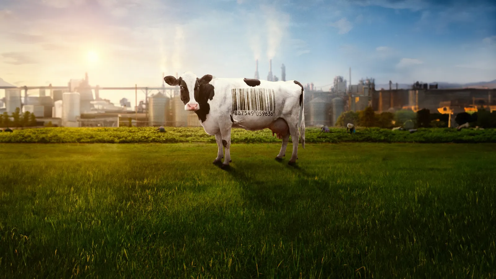 Корпорация «Еда» 2