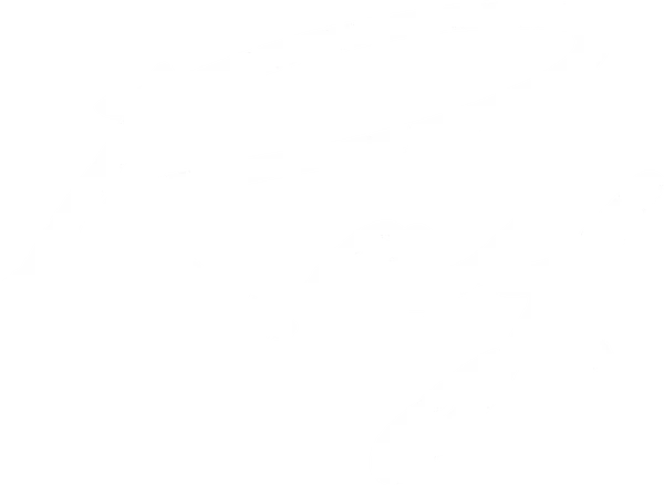 Ray