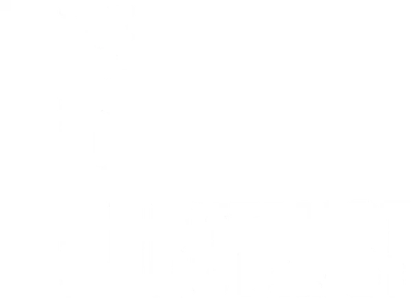 The Brutalist