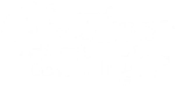 Newly engaged Asha Singh and Jake O'Brien are excited to spend Christmas together, but their relationship is tested when their families' cultural and holiday traditions clash.