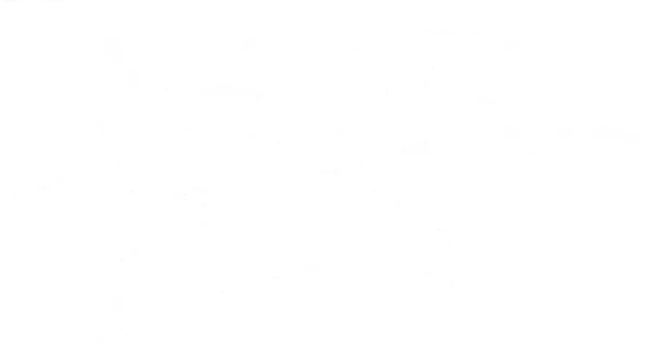 В день покушения на убийство президента страны между премьер-министром и вице-премьером закручивается настоящий смерч политической борьбы.