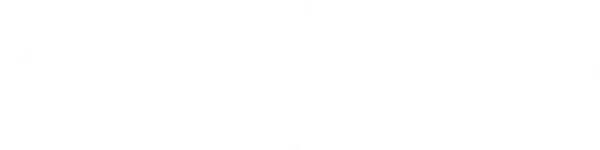 The Sinner