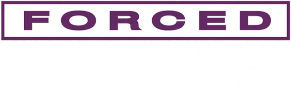 В этом боевике Чак Норрис сражается с гонконгской мафией. Ветеран Вьетнама Джош Рэндалл работает вышибалой и собирателем долгов у владельца казино в Гонконге. Когда мафия убивает как босса, так и его подружку, Рэндалл отправляется в одиночку уничтожать мафию.