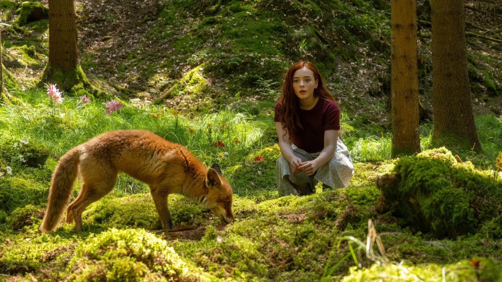 Магия четырёх стихий