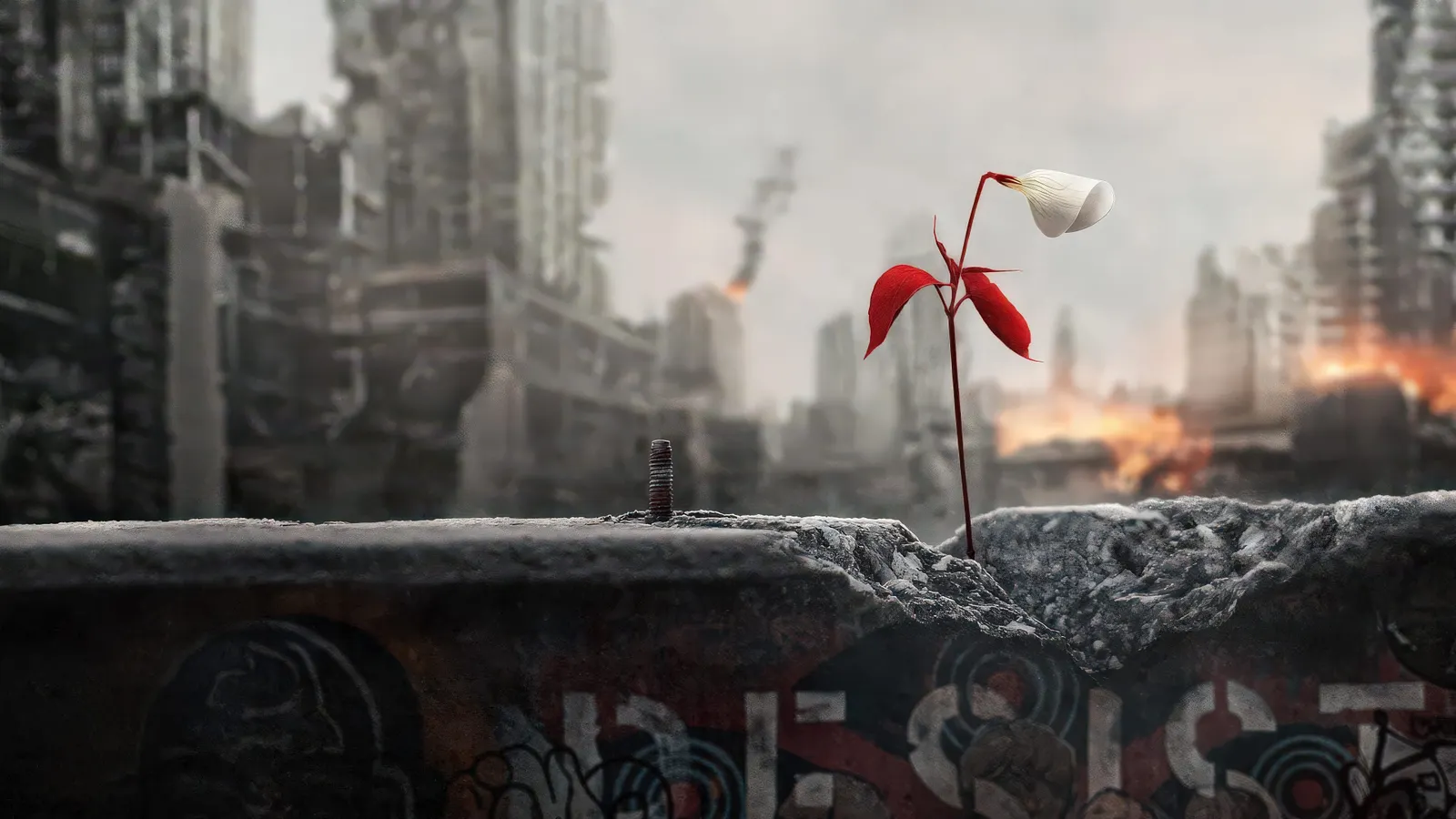 Рассказ служанки