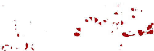 I век до нашей эры, Римская империя. Бывший гладиатор Ашур добился власти, и теперь он владеет гладиаторской школой, которой когда он принадлежал. Объединившись со свирепой гладиаторшей, он создаёт новый вид зрелищ, который вызывает недовольство элиты.