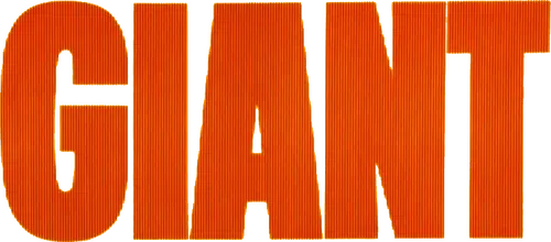 Техасский фермер Бик Бенедикт отправляется в Мэрилэнд за призовым жеребцом. Там он встречает женщину своей мечты Лесли и женится на ней. Молодая пара возвращается на свое ранчо, где Лесли предстоит приспособиться к жизни в изменившихся условиях.  Новая хозяйка ранчо разбивает сердце Джетта Ринка, нефтяного магната. Разгорается, и без того острое, соперничество между двумя техасскими семьями.