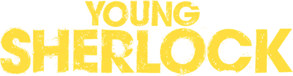 19-летний Шерлок Холмс оказывается замешан в деле об убийстве в Оксфорде, что ставит под угрозу его свободу. Безрассудно взявшись за своё первое дело, он раскрывает масштабный заговор, который навсегда изменит его судьбу.