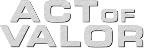 История о нелегких буднях элитной группы «морские котики», которым поручено вытащить из плена агентов ЦРУ. Выполняя задание, бойцы попутно уничтожают террористическую группу, в планы которой входила масштабная атака на США.