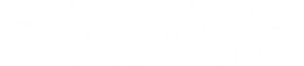 Случайно встретившись в супермаркете, Оливер и Сиара быстро и сильно влюбляются друг в друга. Спустя 56 дней в квартиру Оливера приезжают следователи по делам об убийствах и находят неопознанное тело — жестоко убитого и разложившегося человека.