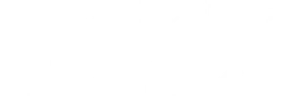 Power Book IV: Force