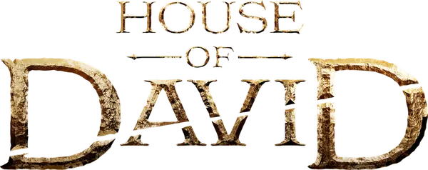 Некогда могущественный царь Саул однажды станет жертвой собственной гордыни и паранойи... По воле Господа пророк Самуил помазывает отверженного подростка Давида на роль нового царя. Когда Саул теряет власть над своим царством, Давид отправляется в путешествие, чтобы узнать свое предназначение и исполнить его. Главному герою предстоит пройти долгий и полный испытаний путь через любовь, потери и насилие при дворе того самого человека, которого ему суждено заменить, а также дать бой сопернику, которого, казалось бы, победить невозможно — огромному и пугающему Голиафу. Как не раз доказала история, когда один лидер падает, другой должен подняться — и Давид очень скоро поймет эту истину на собственном примере.