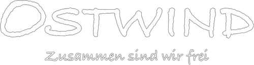 Из-за плохой успеваемости в школе родители отправляют 14-летнюю Мику на всё лето на ферму к строгой бабушке. Однако там помимо сидения над книжками у неё неожиданно находится другое занятие. В отдалённом амбаре она находит дикого жеребца по имени Восточный ветер. Никто на ферме не в состоянии приручить его.  Как по волшебству чувствующая привязанность к лошади Мика однажды ночью прокрадывается в амбар. Так начинается их необычная дружба. Сможет ли она вопреки всему укротить Восточный ветер?