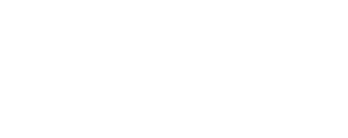 Окружной прокурор Маргарет оказывается в весьма щекотливой ситуации: она находится в номере элитного отеля, одежда в крови, в спальне труп молодого человека, с которым она познакомилась нынешним вечером. Судорожно перебирая номера в телефонной книжке, Маргарет находит контакт человека, который «решает проблемы». Вскоре появляется профессиональный чистильщик, который сразу же принимается за дело. Однако спустя мгновение в номер входит ещё один решала, которого вызвала владелица отеля. Теперь двум матёрым спецам, которые привыкли работать в одиночку, придётся действовать сообща, преодолевая взаимную неприязнь.