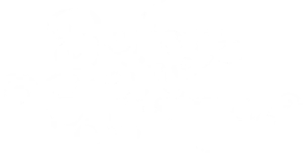 Two best friends travel to Christmasland, a place filled with hope and miracles.