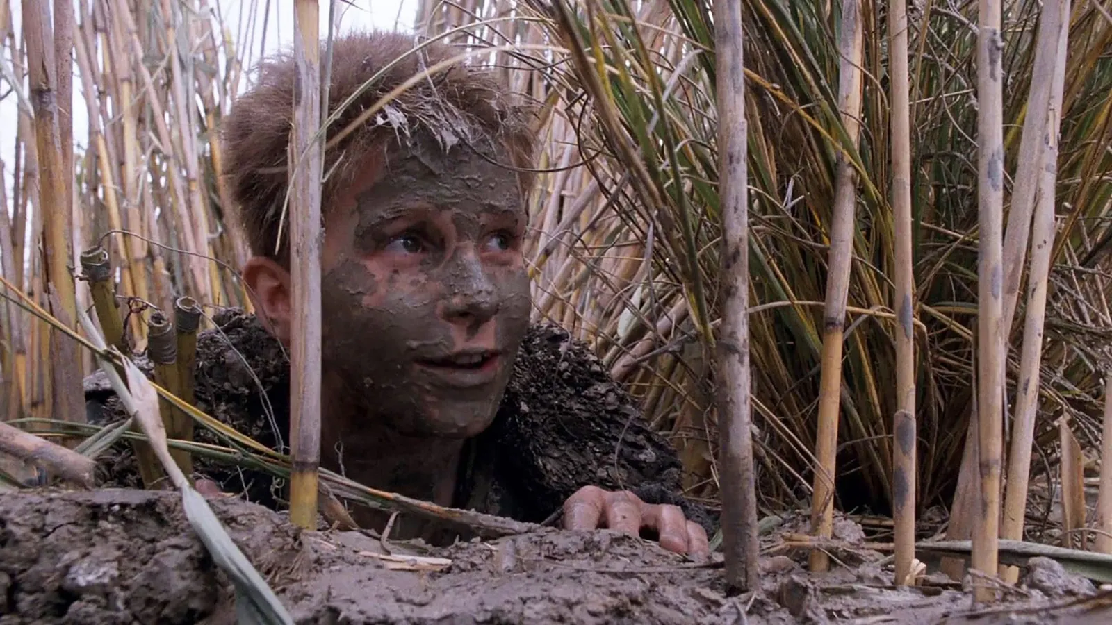 Империя Солнца