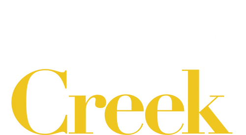 Сериал рассказывает о семействе Роузов: Джонни Роуз — миллиардер, сделавший состояние на сети видеосалонов, его жена — актриса мыльных опер и двое детей — хипстер Дэвид и светская львица Алексис.

После того, как бизнес Джонни терпит крах, все семейство вынуждено переехать жить в небольшую сельскую общину Шиттс Крик, которую они приобрели несколько лет назад развлечения ради.