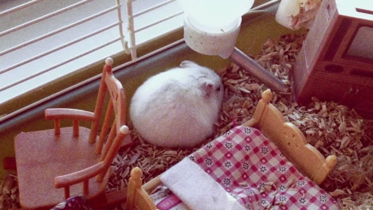 Нимфоманка: Часть 1