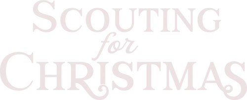 Busy realtor and single mom Angela meets bakery owner William after her daughter tries to set them up by having him cater her scout troop’s holiday event.