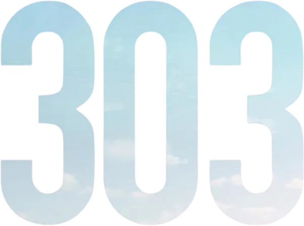 303