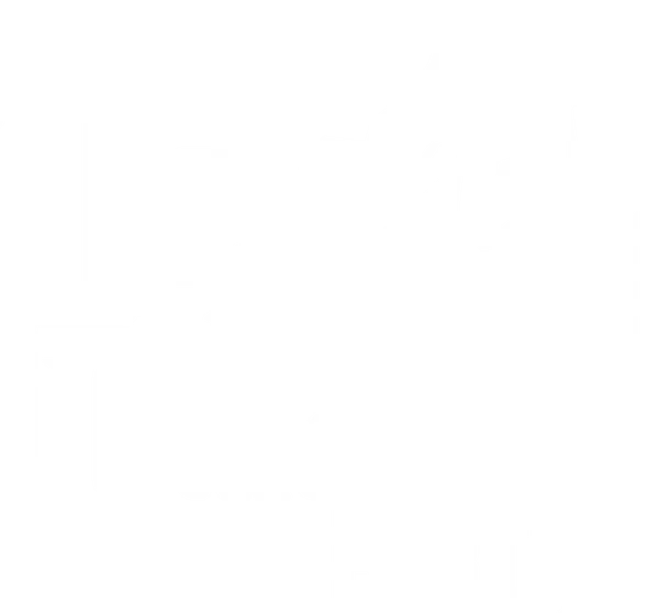 The Godfather Part II