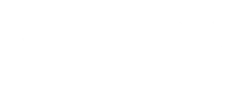 Убийство всегда чудовищно. Особенно если убита молодая и красивая женщина. Тем более, если эта женщина — офицер вооруженных сил США и дочь прославленного генерала. В американской армии не любят «выносить сор из избы». Все внутренние проблемы решаются за хорошо закрытыми дверями. Поэтому расследование этого загадочного убийства поручили военному следователю Полу Бреннеру.  Бреннер — опытный профессионал, на счету которого немало сложнейших дел. Во время вьетнамской войны он служил под началом отца убитой, поэтому раскрытие этого преступления для него вопрос чести. Но постепенно и без того уже темное дело начинает обрастать жуткими подробностями. Чтобы найти убийцу, Бреннер должен распутать клубок страшных тайн и скрытых ужасных страстей, блуждая по мрачному лабиринту жизни и смерти.