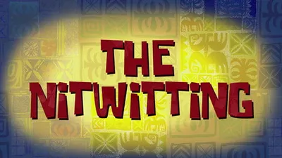 The Nitwitting