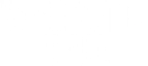 XIX век. 11-летний вундеркинд Джордж Вашингтон Блэк сбегает с сахарной плантации в Барбадосе и отправляется в путешествие по миру.