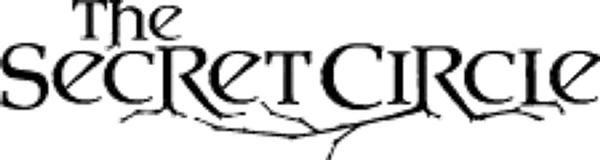 После трагической гибели матери, старшеклассница Кэсси Блейк переезжает к своей бабушке в маленький городок Ченс-Харбор. Очень скоро выясняется, что возвращение Кэсси в город, где родилась и выросла её мать, не было случайностью - оказывается, Кэсси потомственная ведьма, и юному ведьмовскому клану как раз не хватало шестого участника, чтобы обрести полную силу. Но почему мать никогда не рассказывала Кэсси о своих и её способностях? Какая трагедия 16 лет назад лишила каждого участника Тайного Круга одного из родителей? И что замышляют те представители старшего поколения ведьм, что остались в живых? У Тайного Круга очень много тайн....