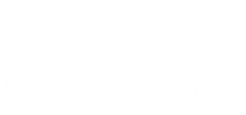 Агенту ФБР и бостонскому полицейскому доверено ответственное задание: выйти на след и обезвредить опасного преступника. И это даже хорошо, что копы — женщины, ведь бандит-то — русский. А непредсказуемости русской смекалки можно противопоставить только столь же непредсказуемую женскую логику.