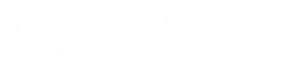 DMV