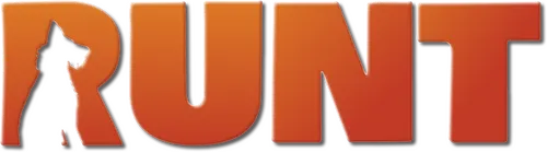 Активная и предприимчивая девочка Энни подбирает на улице очень умного и сообразительного пса. Энни придумывает «двортерьеру» кличку Коротышка, и они быстро становятся лучшими друзьями. Чтобы помочь родителям выкупить дом, Энни решает принять участие в международном дог-шоу и выиграть крупный денежный приз. Вот только есть одна проблема: Коротышка боится выступать на публике, а все участники чемпионата - породистые собаки с большим опытом и хотят помешать успеху безродного новичка.