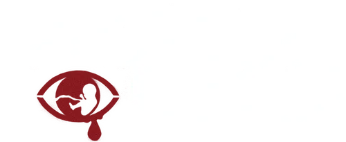 2027 год. Мир погряз в анархии, причиной которой стало массовое бесплодие. Над человечеством нависла угроза полного вымирания. Лишенный иллюзий бюрократ превращается в чемпиона гонки на выживание в Лондоне, раздираемом клановыми войнами противоборствующих группировок. Именно он встает на защиту «последней надежды человечества» — беременной женщины, которую надо доставить в безопасное место под присмотр врачей…