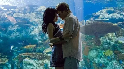 The British Invasion