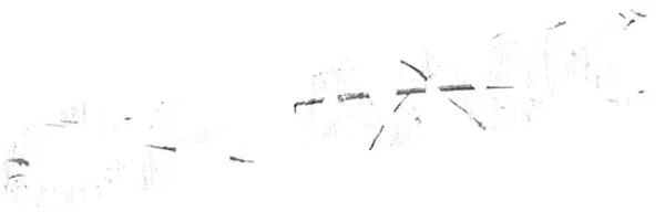 Наемный убийца Чев узнает, что недоброжелатели отравили его редким китайским ядом и отрава начнет действовать немедленно, как только пульс перестанет биться ниже определенной отметки. И теперь Чеву нужно успеть сделать все свои дела, попробовать раздобыть противоядие и отомстить своим отравителям в прямом смысле слова впопыхах — стараясь создавать вокруг себя как можно более напряженную обстановку и не расслабляться ни на секунду.