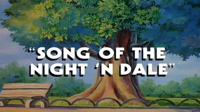 Song of the Night 'n Dale