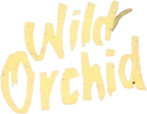 Поступив на работу в юридическую фирму, Эмили (Кэрри Отис) — молодая красивая девушка — отправляется в Бразилию помочь завершить крупную сделку с недвижимостью. В Рио-де-Жанейро она встречается с Джеймсом Виллером (Микки Рурк) — загадочным и очень сексуальным миллионером, который, используя свое колдовское очарование, пытается соблазнить невинную красотку. Под сумасшедшие ритмы и краски карнавала он распаляет в девушке вулкан неведомых ей ранее чувств и эротических фантазий, так и не решаясь на активные действия. Эмили потрясена и заинтригована сексуальными выходками, в которых она невольно задействована. Но, спровоцировав девушку на связь с другими мужчинами, а сам выступая в качестве наблюдателя за чужими эротическими сценами, Джеймс с удивлением обнаруживает, что всё-таки по-настоящему влюбился в Эмили. Для него это привычная игра в любовь, но Эмили не хочет и не может играть, она искренна, и это заставляет Виллера открыть ей свое сердце.