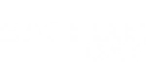 Ловкий карманник Майкл Мэйсон привлекает внимание полиции и спецслужб, когда крадет сумку, содержащую гораздо больше, чем просто бумажник. На его след выходит дерзкий и резкий спецагент ЦРУ Шон Брайар. Вдвоем они становятся мишенью тайной преступной организации и в течение суток должны вывести злоумышленников на чистую воду.