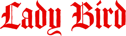 История старшеклассницы, которая провела год в Сакраменто. Главная героиня пытается сбежать из своего маленького городка в Нью-Йорк, заручившись поддержкой приёмного старшего брата.