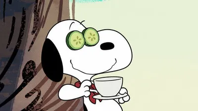 Bed Heads & Beagle Care / The Great Gold Rush