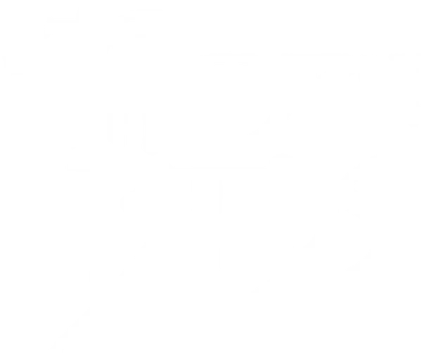 Порой любовь бывает жестока — неумолимо преследует нас, даруя ложные надежды и заставляя ожидать того единственного, которому не суждено быть рядом. Такова судьба Мэгги Клири, самоотверженно влюбленной в духовного отца ее семьи, священника Ральфа де Брикассара. Мэгги — как птица из старинной кельтской легенды, которая всю жизнь проводит в поисках тернового куста, чтобы погибнуть от его шипов, спев свою последнюю сладострастную песню.

Она готова всю жизнь нести любовь как счастливый дар и жестокую муку ради тех немногих моментов, когда она может быть с любимым. Ральф тоже любит девушку, но монашеская ряса и обет перед Богом для него важнее земной любви. И все же, пережив множество бед, потеряв близких людей, пройдя через невзгоды, Мэгги остается верной своей любви.